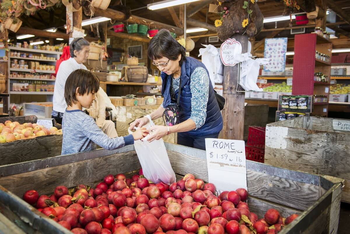 Apple Hill™: A seasonal journey of flavors and fun.