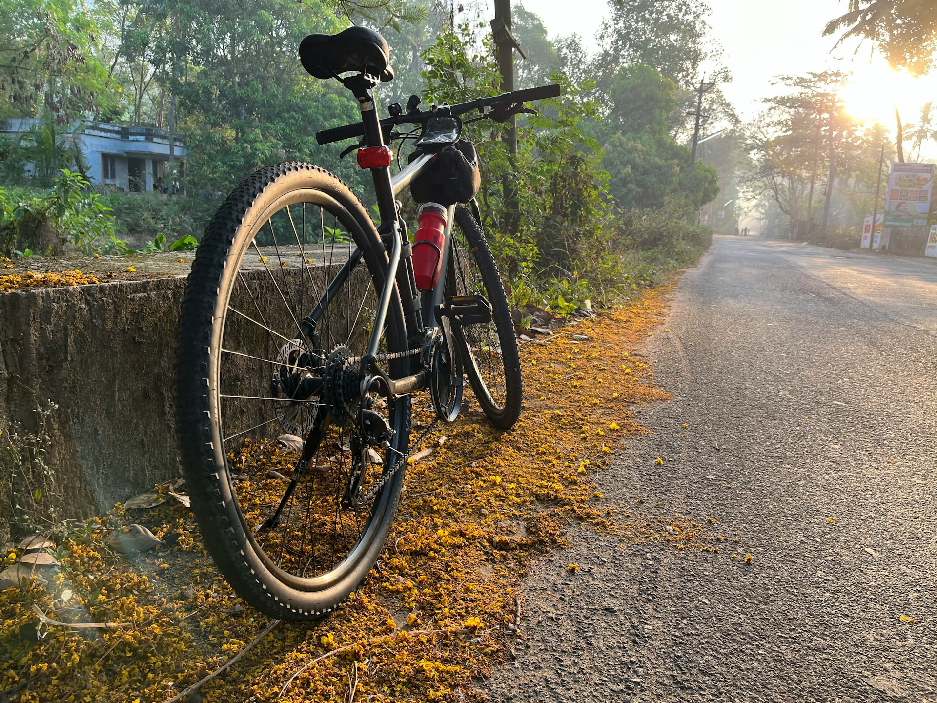 Placerville Bike Trails Map: Your Guide to Local Cycling Hotspots