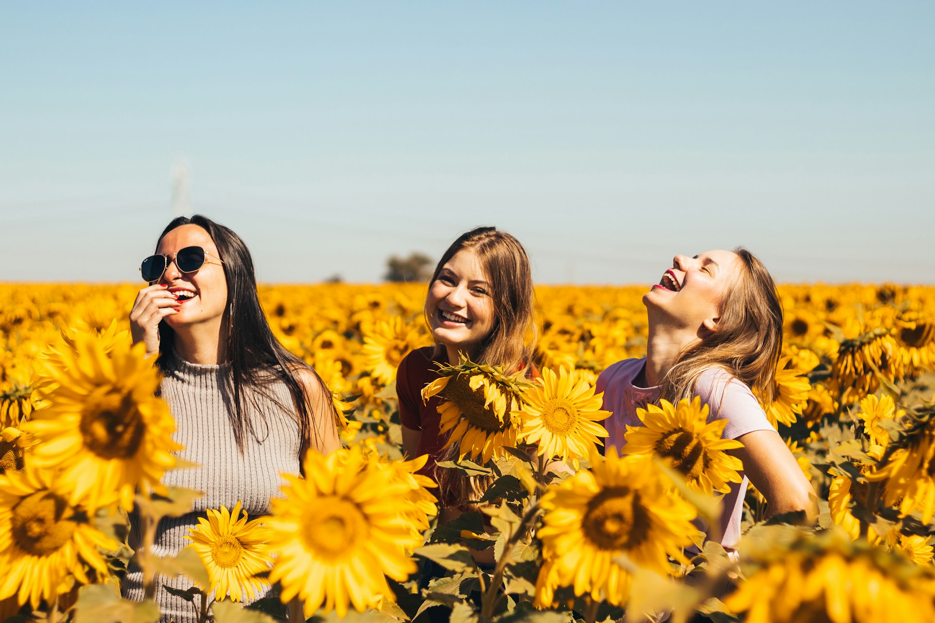 Placerville Guide: National Best Friends Day Activities and Ideas