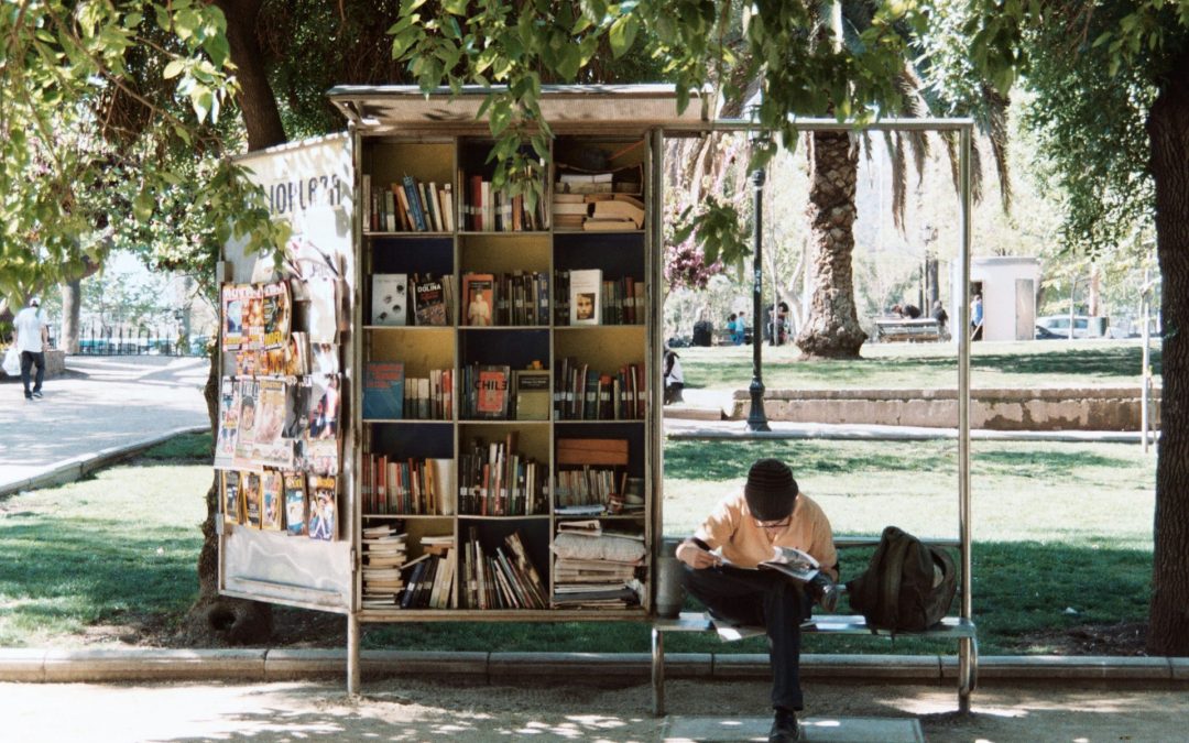 Summer Reading Programs 2025 in Placerville, California: Books, Brains, and Big Prizes