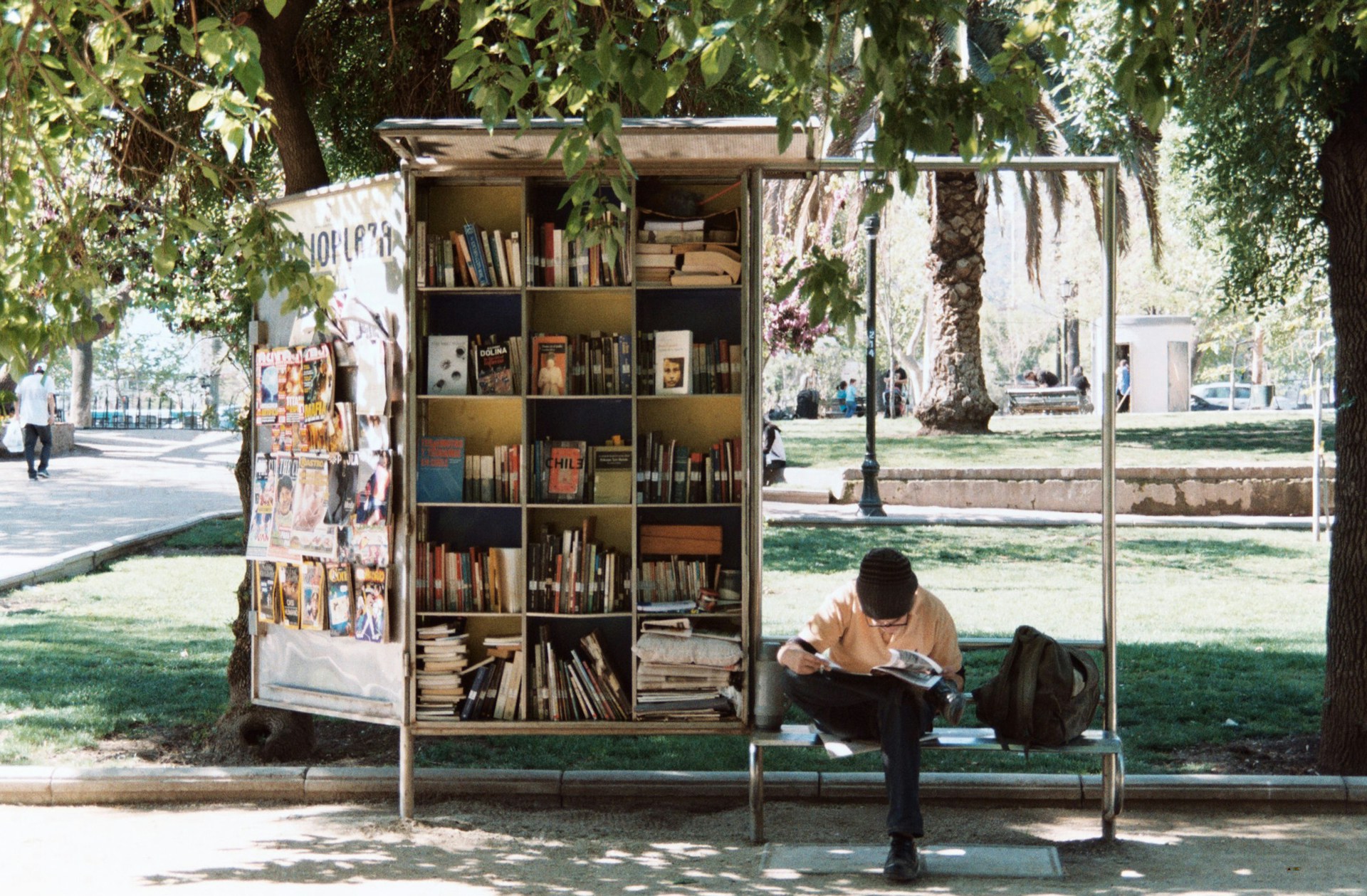 Summer Reading Programs 2025 in Placerville, California: Books, Brains, and Big Prizes