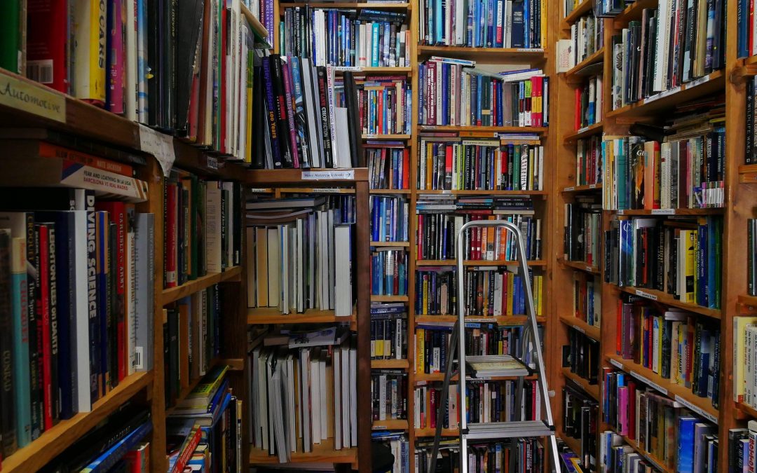 Step Into The Bookery: Placerville’s Cozy Corner for Book Lovers