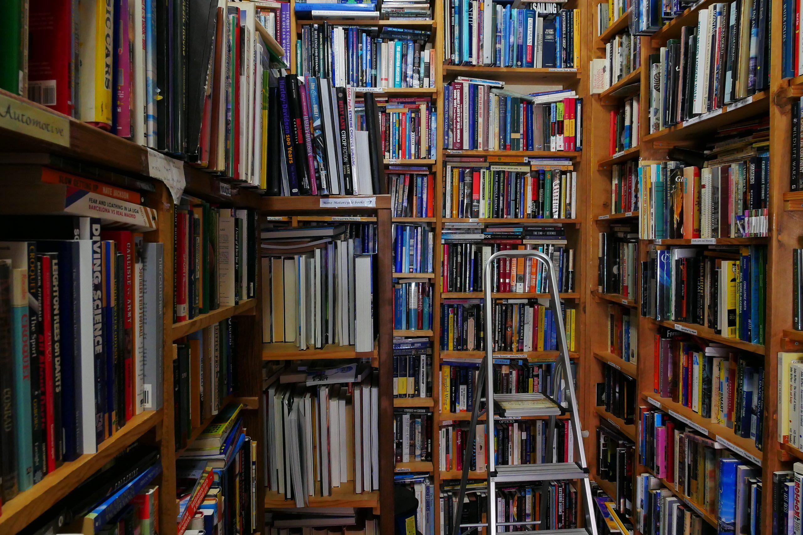 Step Into The Bookery: Placerville’s Cozy Corner for Book Lovers